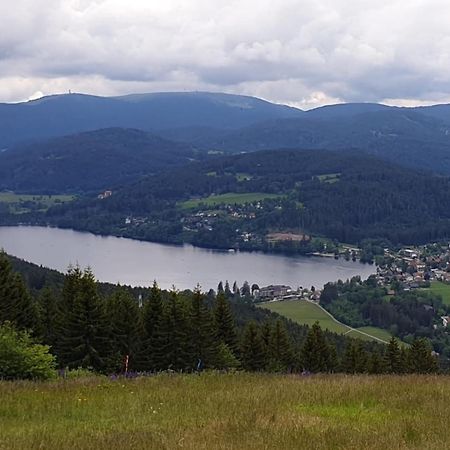 Friedolin Im Baerenhuesli Appartement Titisee-Neustadt Buitenkant foto